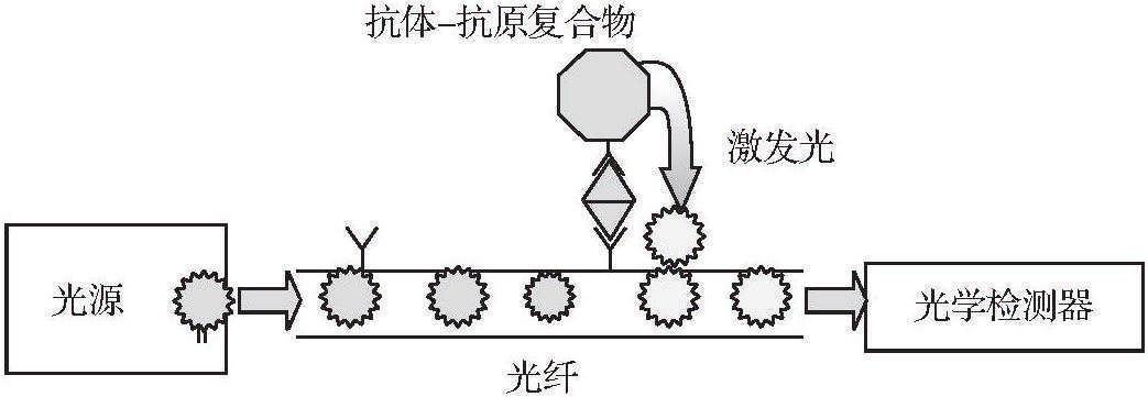 第二節(jié) 生物傳感器在乳粉分析與檢測(cè)中的應(yīng)用